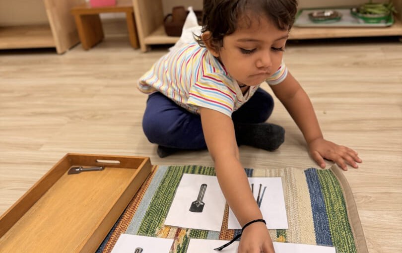 Toddler Language