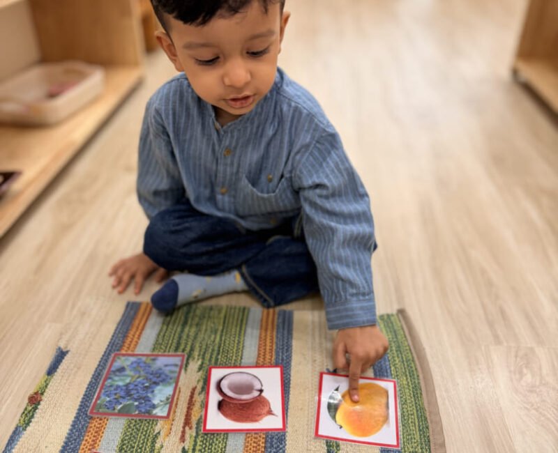 Toddler Language(1)