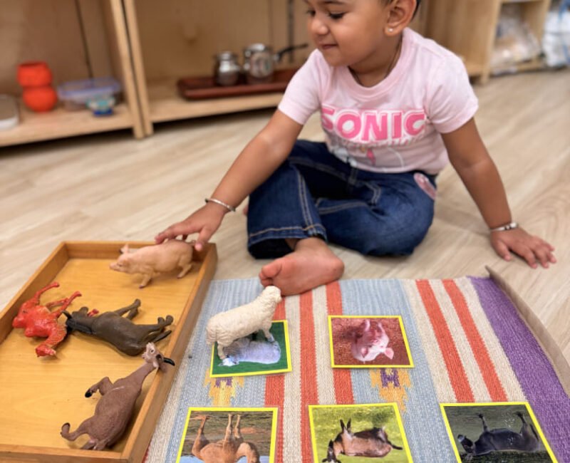 Toddler Language(2)