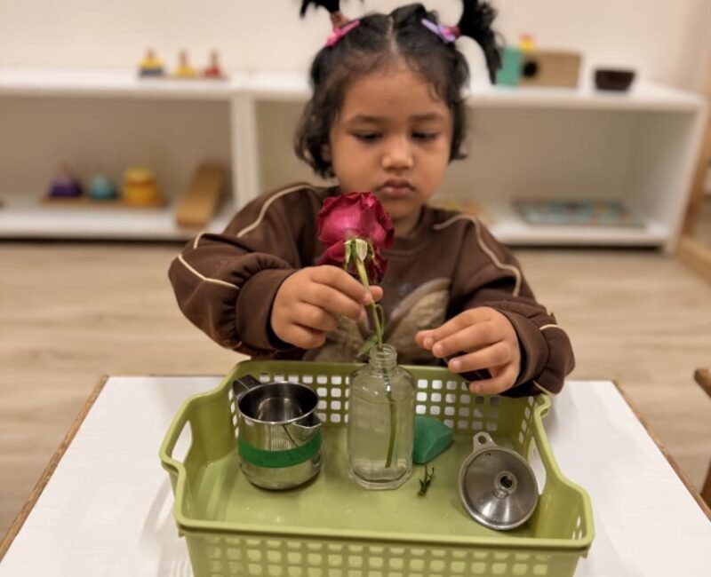 Toddler - Practical Life(1)
