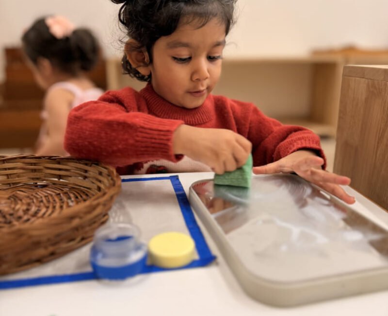 Toddler Practical Life(2)