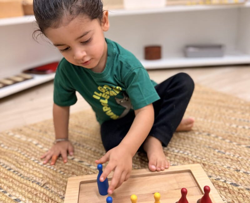 Toddler Sensorial