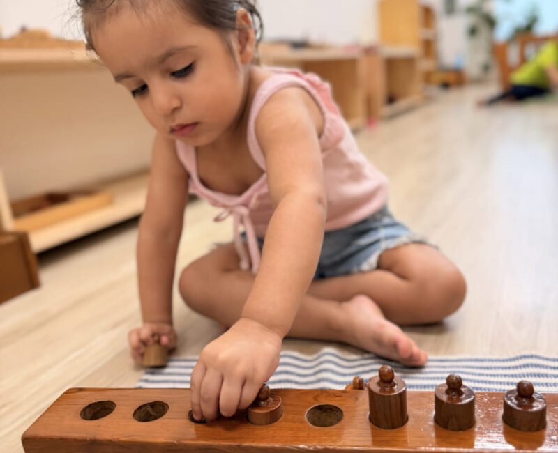 Toddler Sensorial(1)